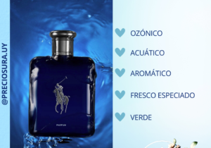 Polo Blue