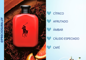 Polo Red