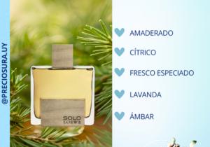 Solo Loewe Cedro