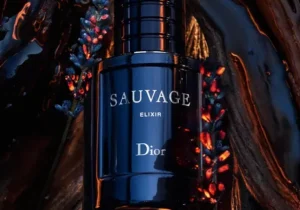 Sauvage Elixir