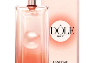 Idôle Now