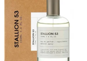Stallion 53